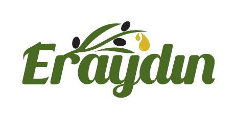 _logo_eraydin